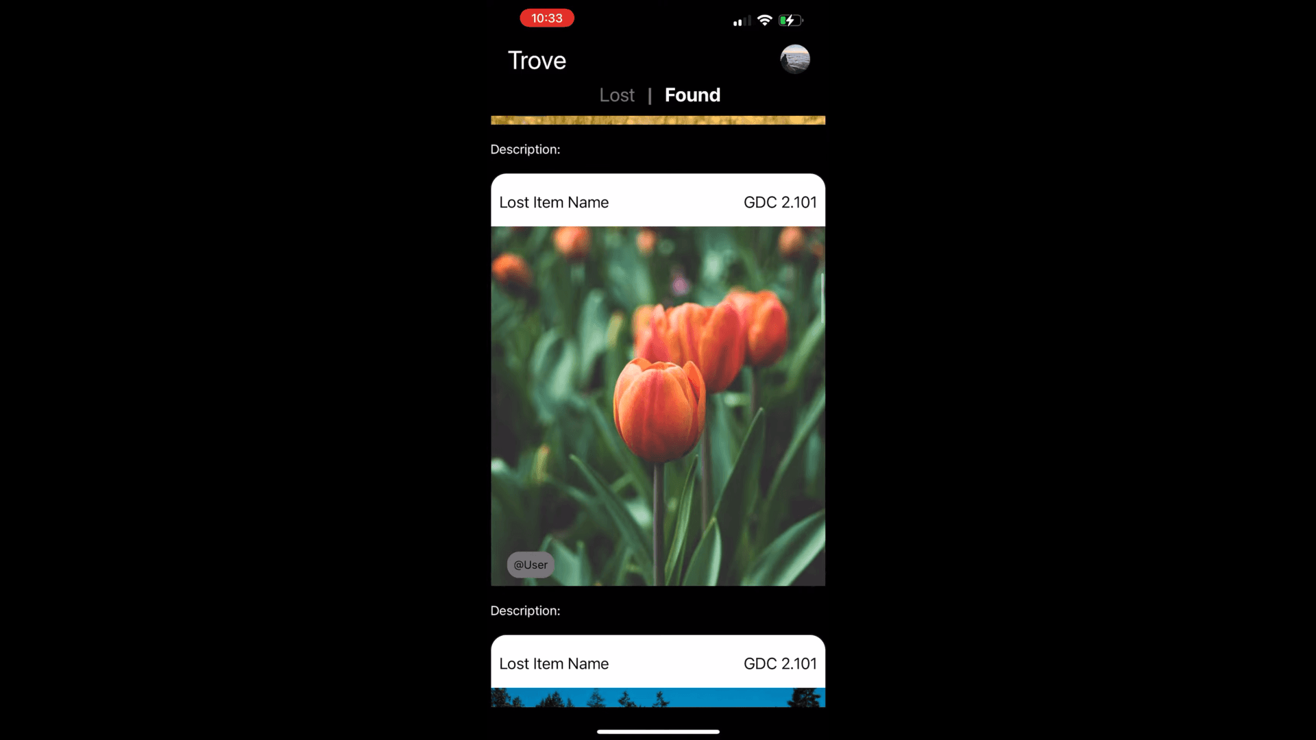 Trove: The Lost & Found App